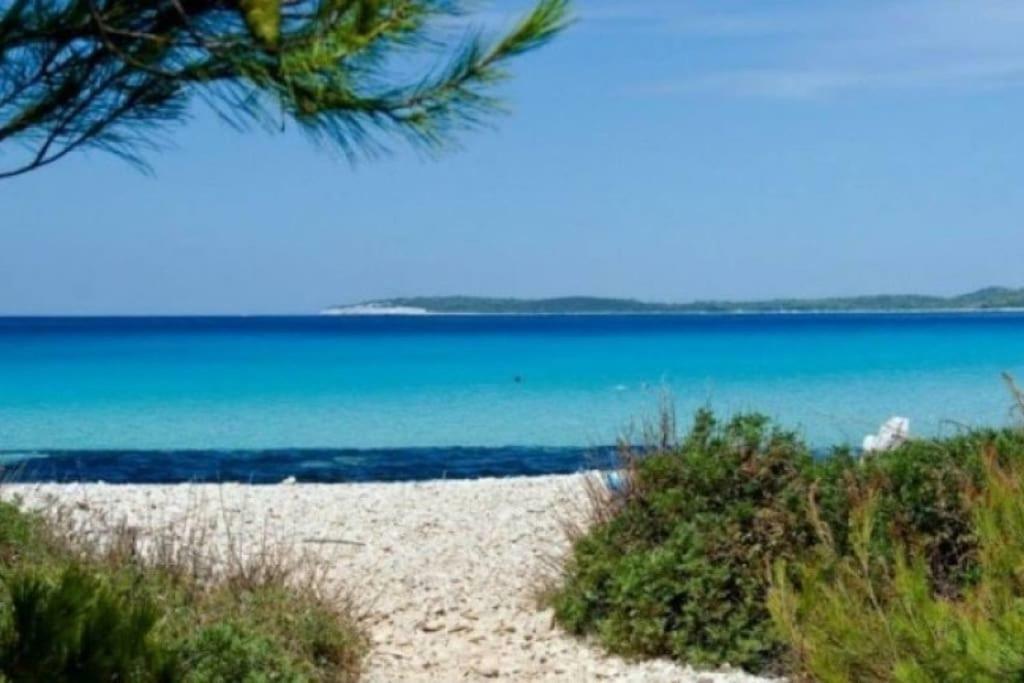Apartment Lordanic Zaglav, Dugi Otok Eksteriør bilde