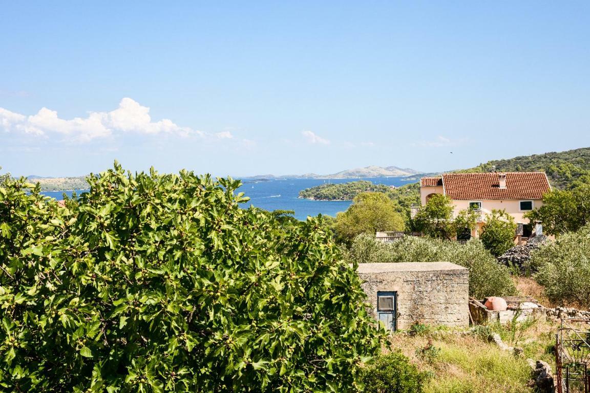 Apartment Lordanic Zaglav, Dugi Otok Eksteriør bilde